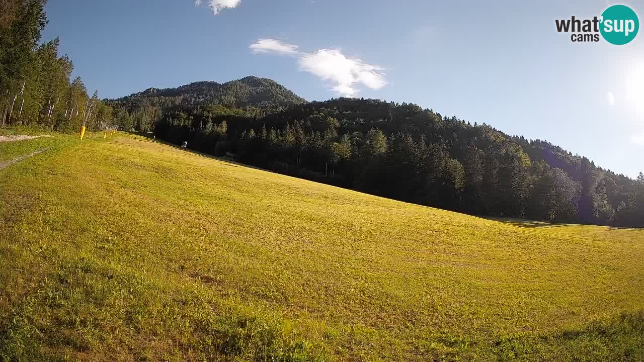 Esquí Kranjska Gora | Brsnina