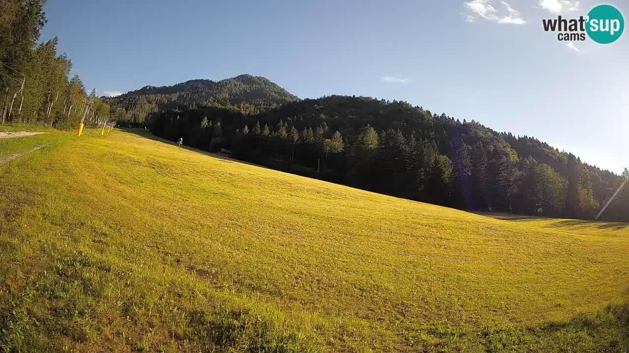 RTC Kranjska Gora | Brsnina
