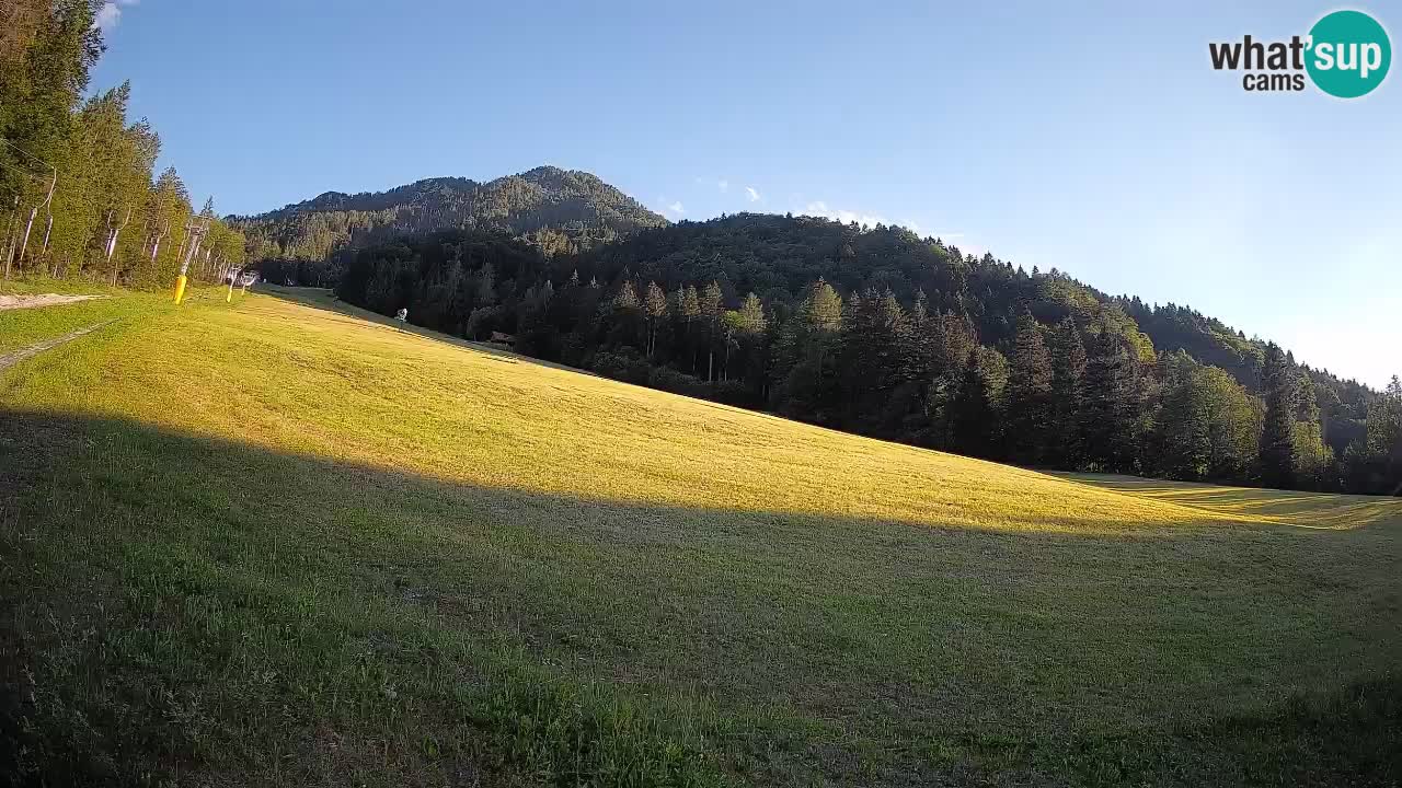 Ski Kranjska Gora | Brsnina