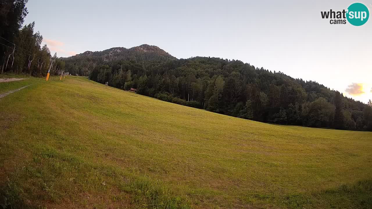 Ski Kranjska Gora | Brsnina