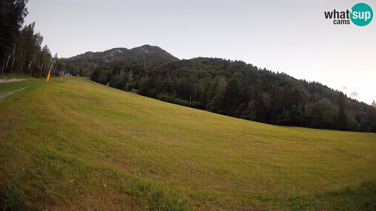 Ski Kranjska Gora | Brsnina