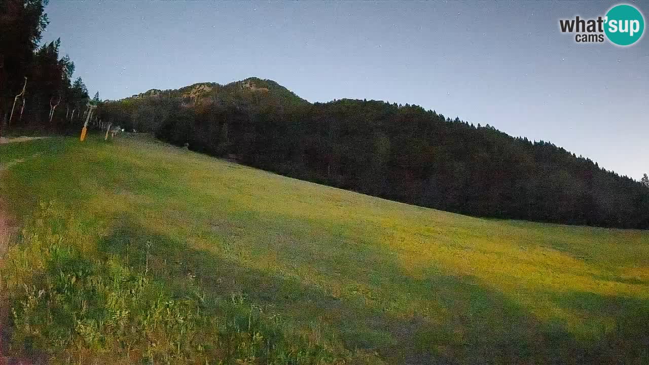 Ski Kranjska Gora | Brsnina