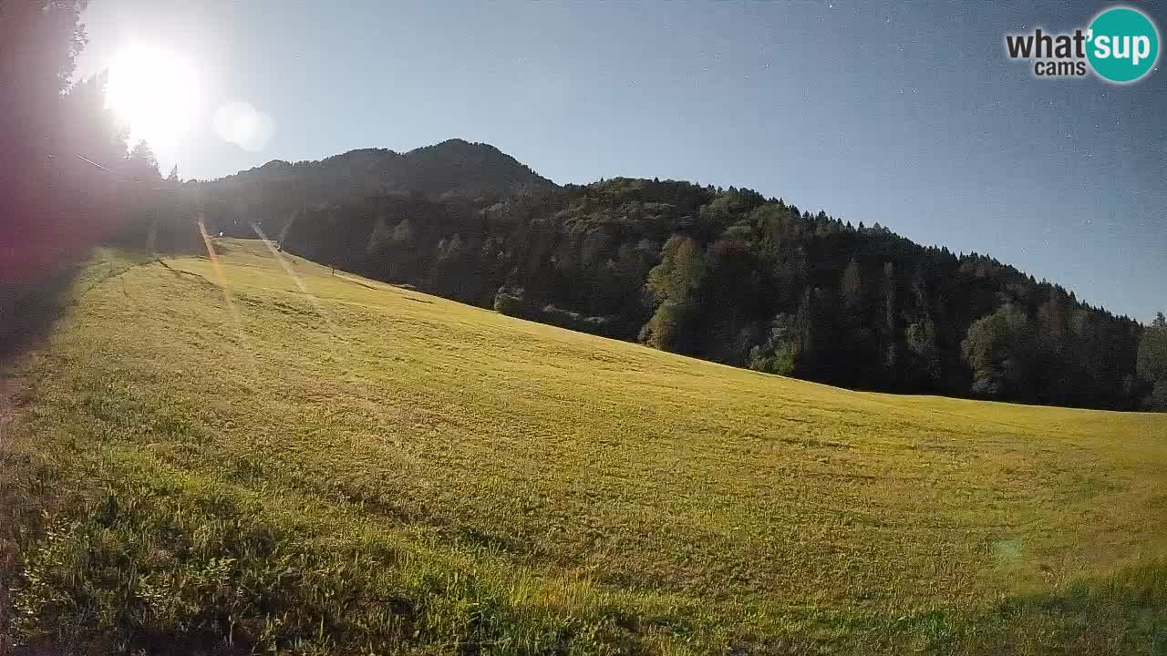 Ski Kranjska Gora | Brsnina