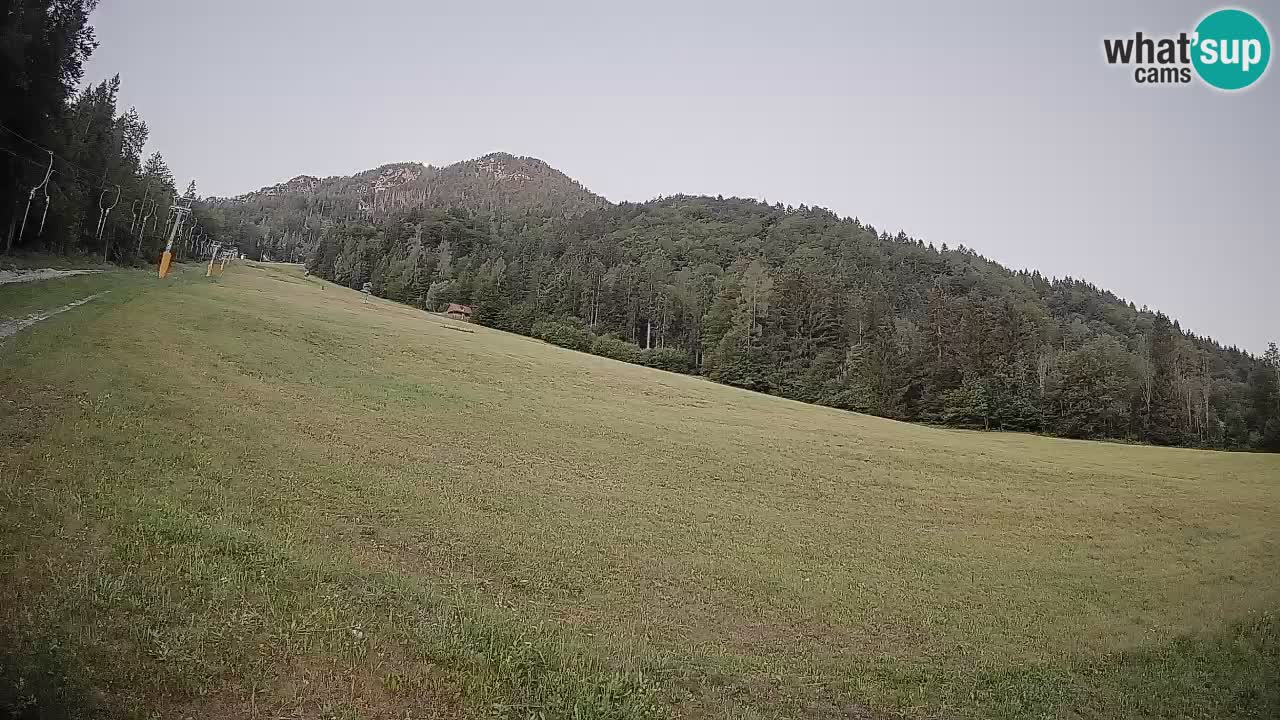 RTC Skigebiet Kranjska Gora | Brsnina