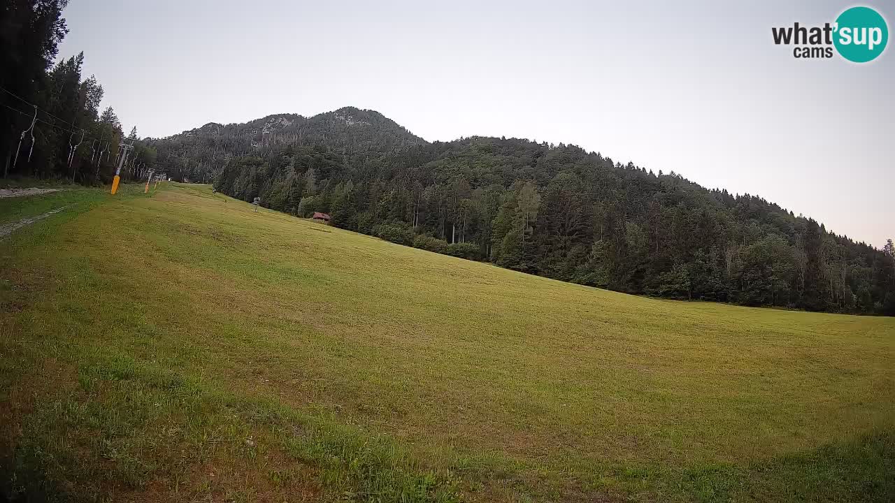 Esquí Kranjska Gora | Brsnina