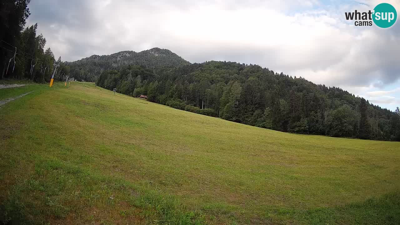 RTC Skigebiet Kranjska Gora | Brsnina