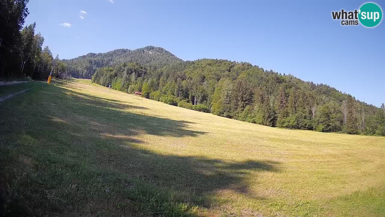 Comprensorio sciistico Kranjska Gora | Brsnina