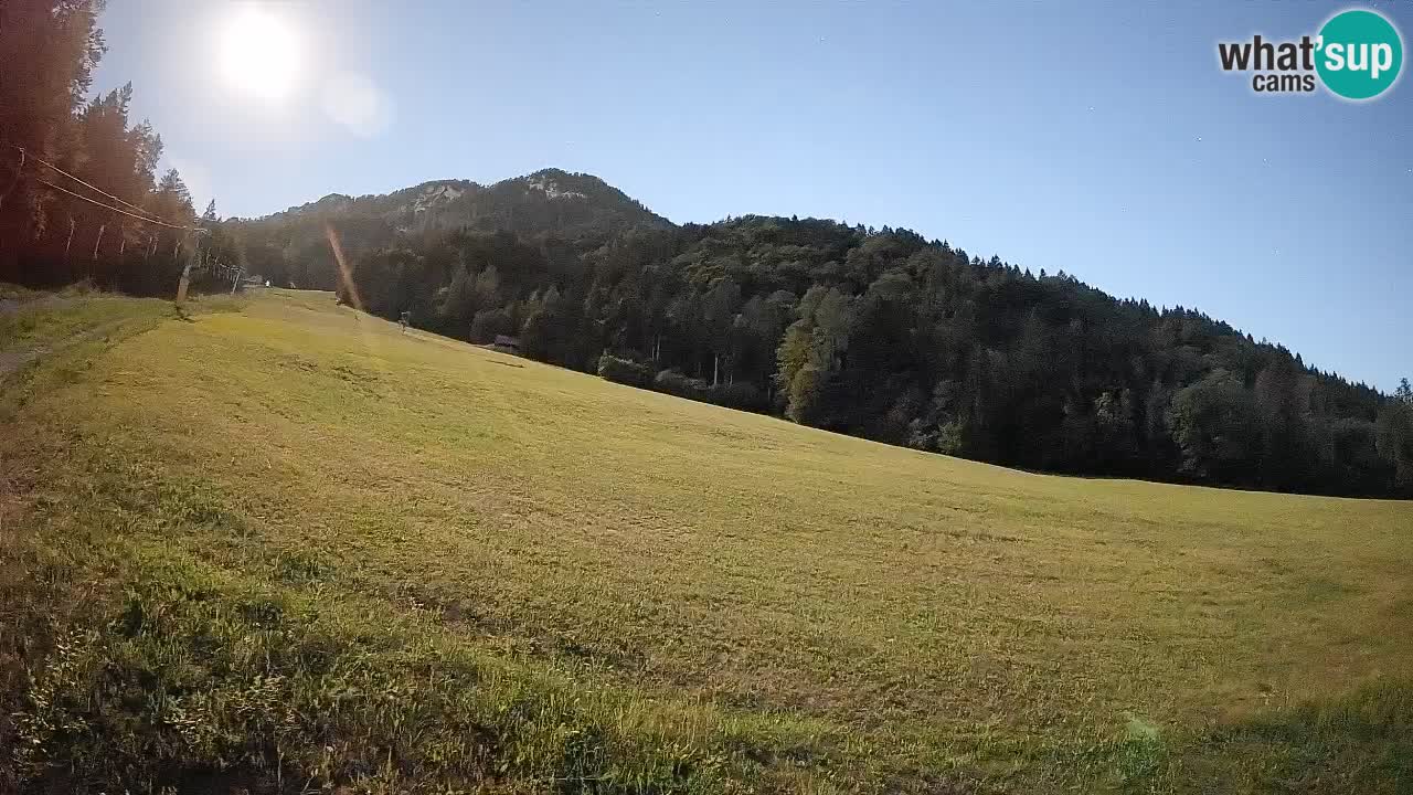 Comprensorio sciistico Kranjska Gora | Brsnina