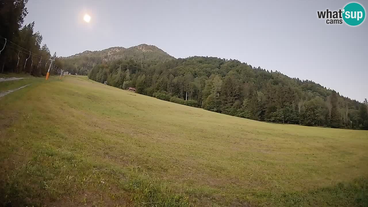 Ski Kranjska Gora | Brsnina