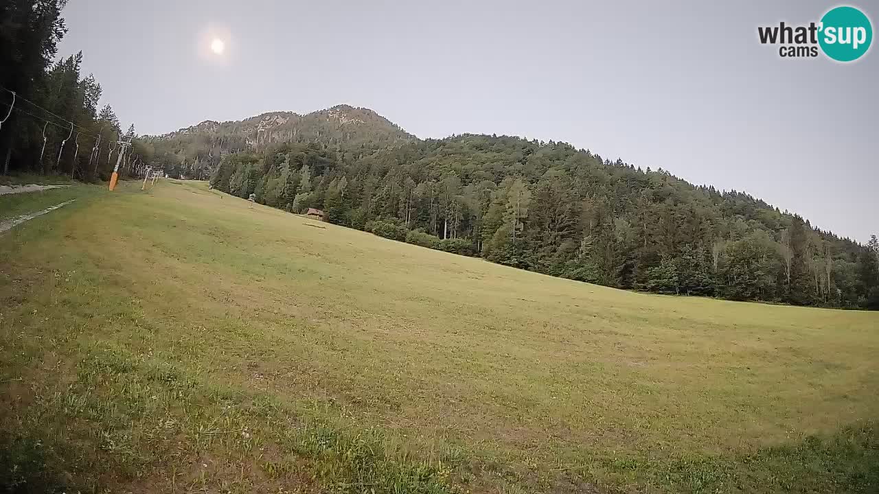 Ski Kranjska Gora | Brsnina
