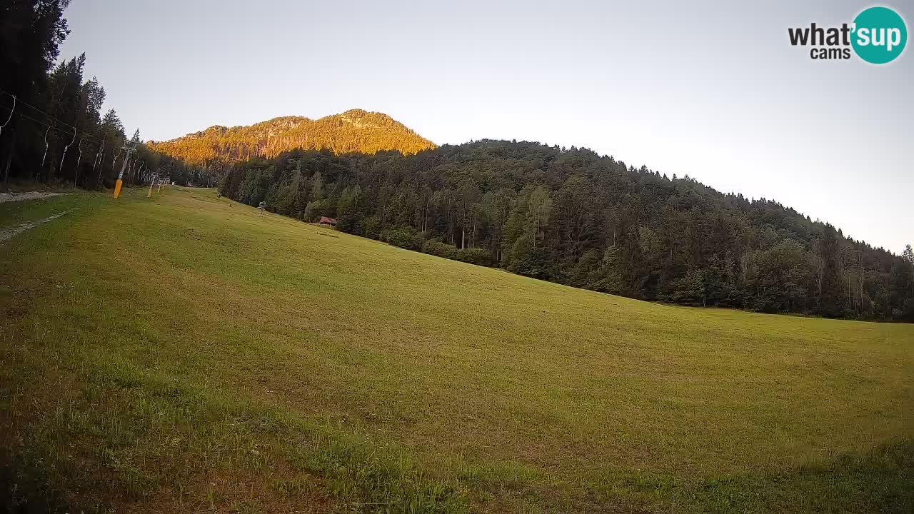 Comprensorio sciistico Kranjska Gora | Brsnina
