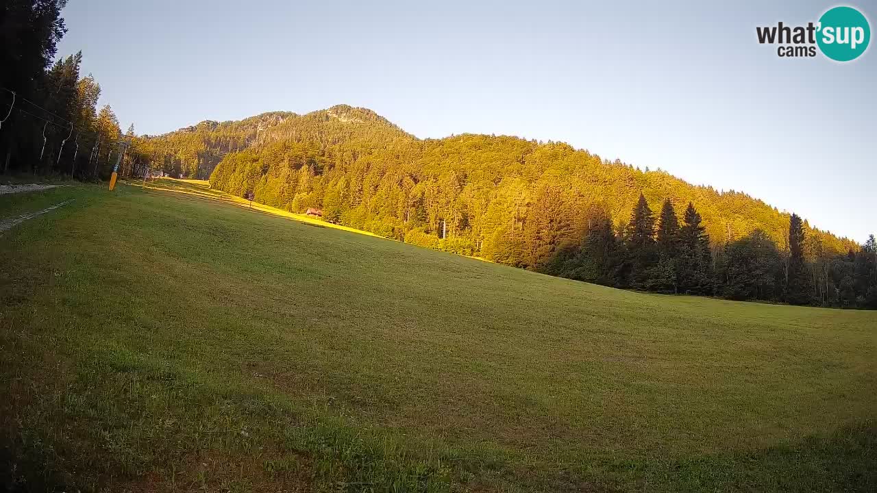 Comprensorio sciistico Kranjska Gora | Brsnina