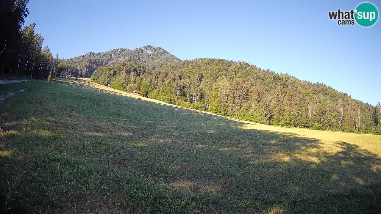 RTC Kranjska Gora | Brsnina
