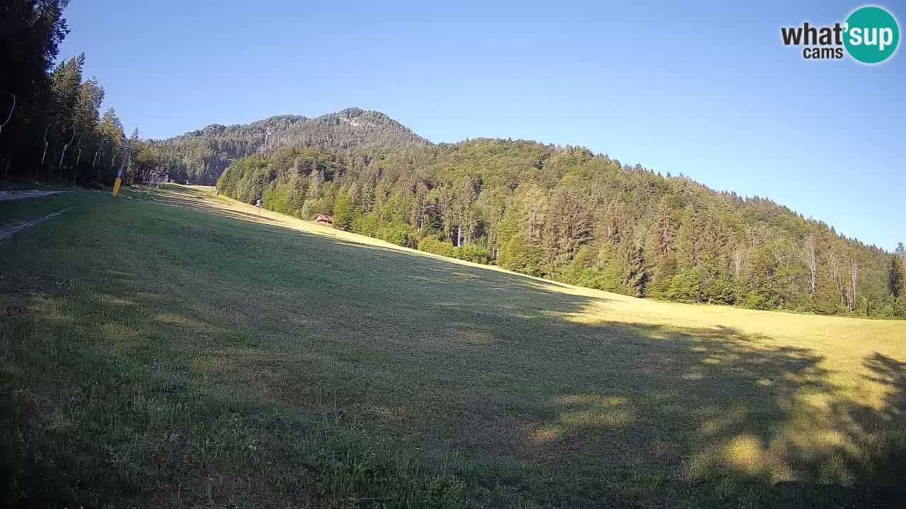 Ski Kranjska Gora | Brsnina