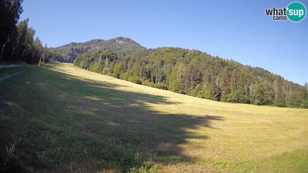 Ski Kranjska Gora | Brsnina