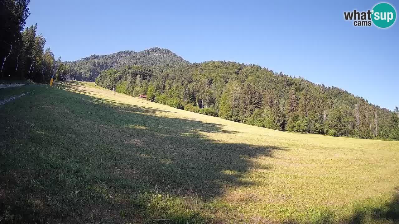 RTC Skigebiet Kranjska Gora | Brsnina