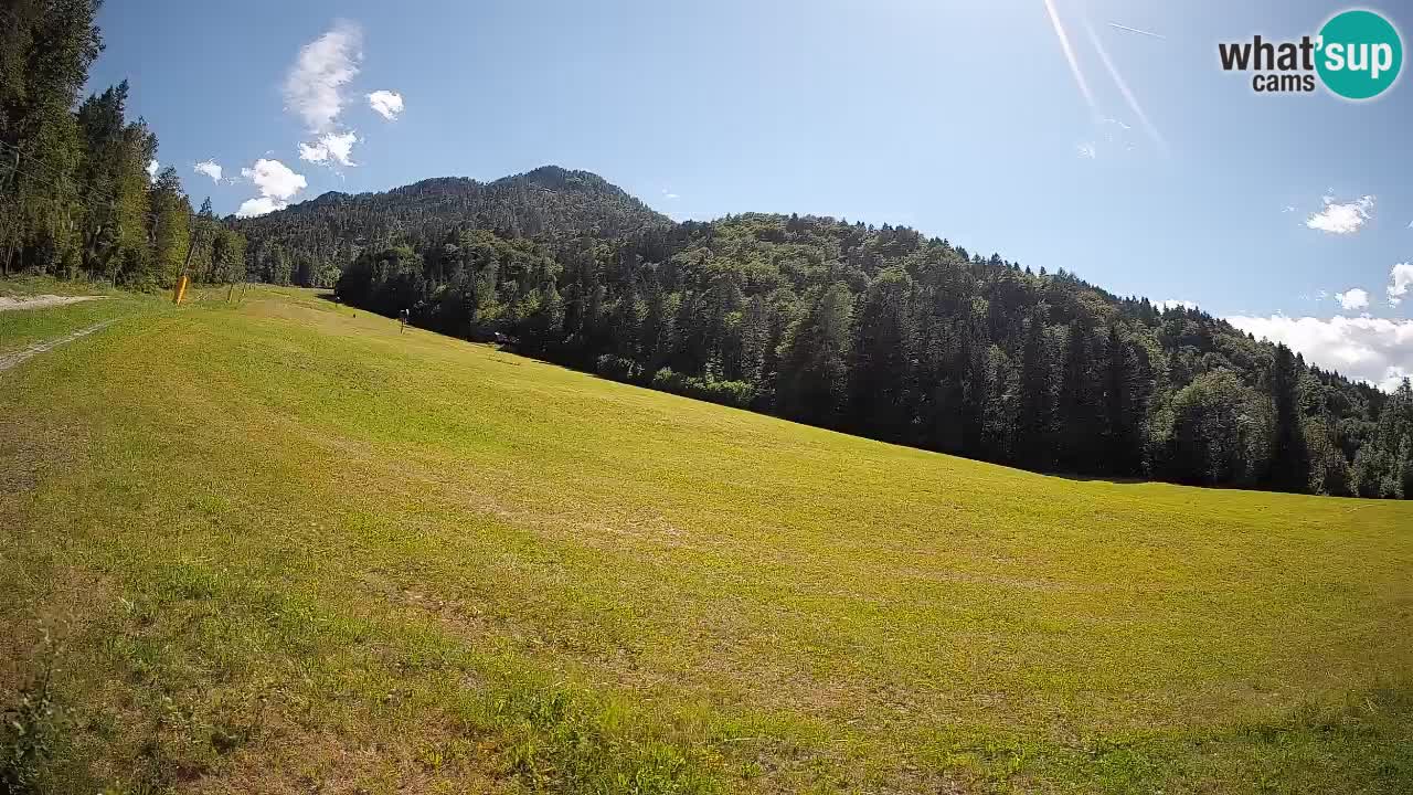 Esquí Kranjska Gora | Brsnina