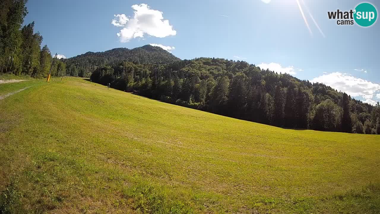 Ski Kranjska Gora | Brsnina
