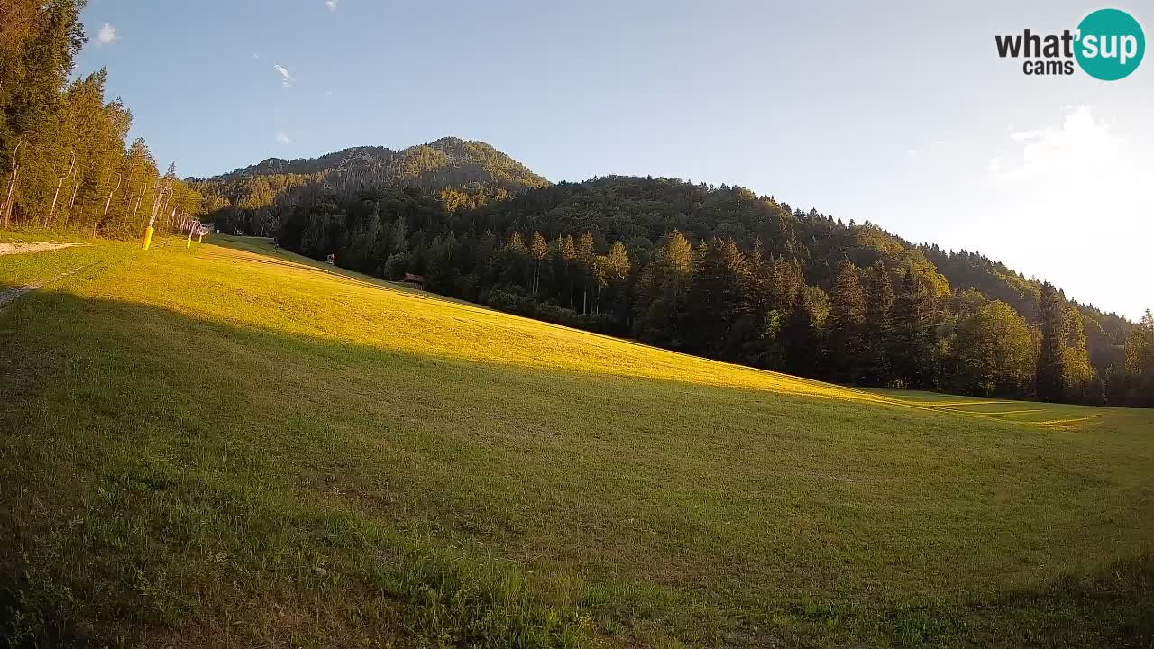 RTC Kranjska Gora | Brsnina