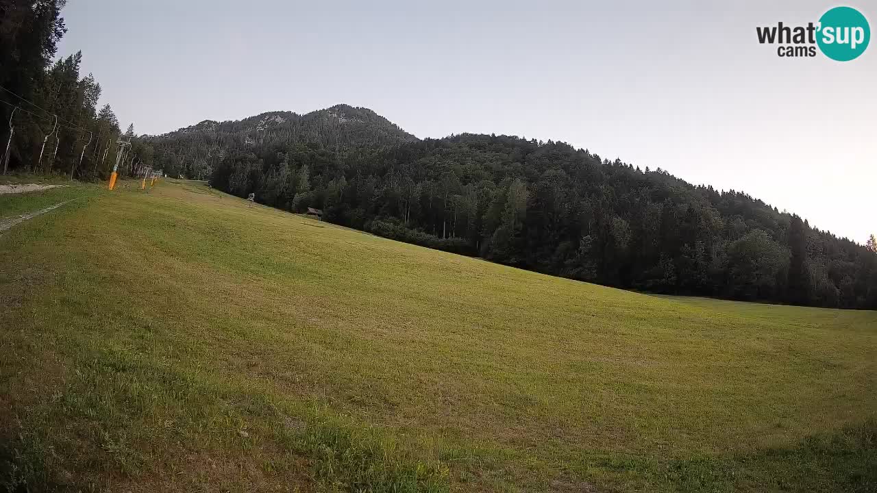RTC Kranjska Gora | Brsnina