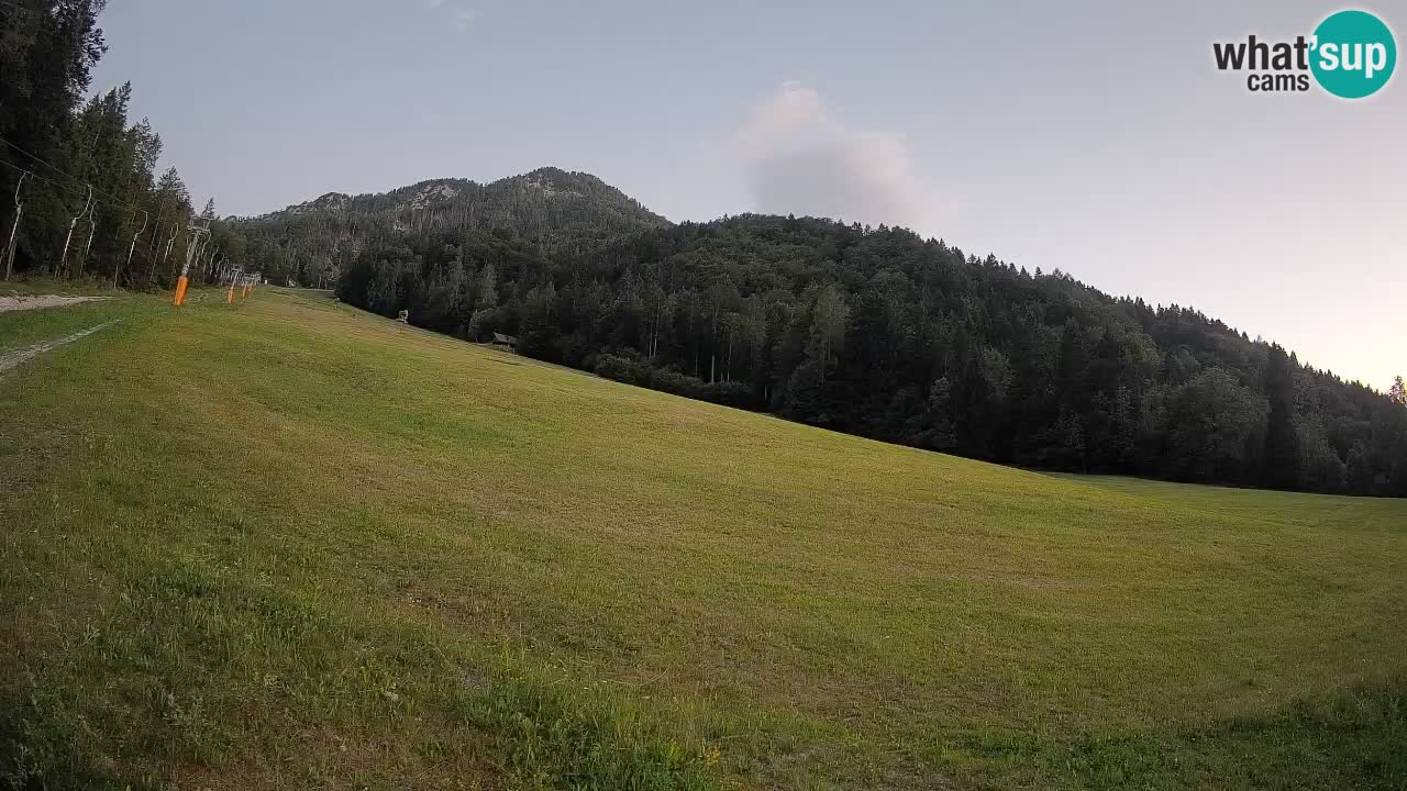 RTC Skigebiet Kranjska Gora | Brsnina