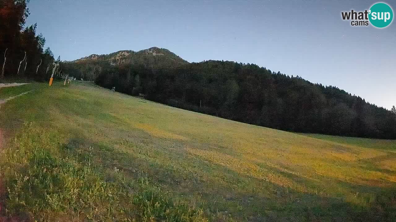 RTC Kranjska Gora | Brsnina