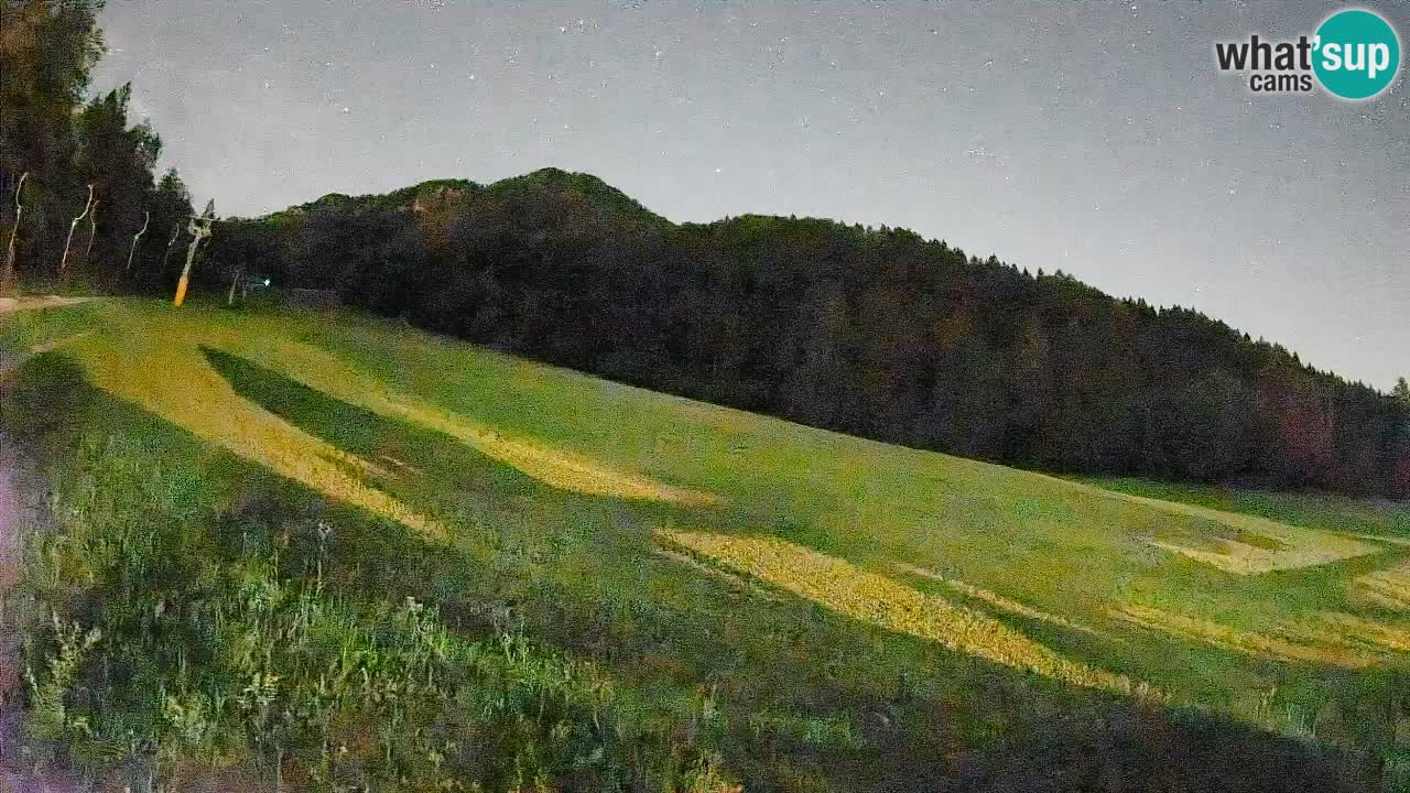 Comprensorio sciistico Kranjska Gora | Brsnina