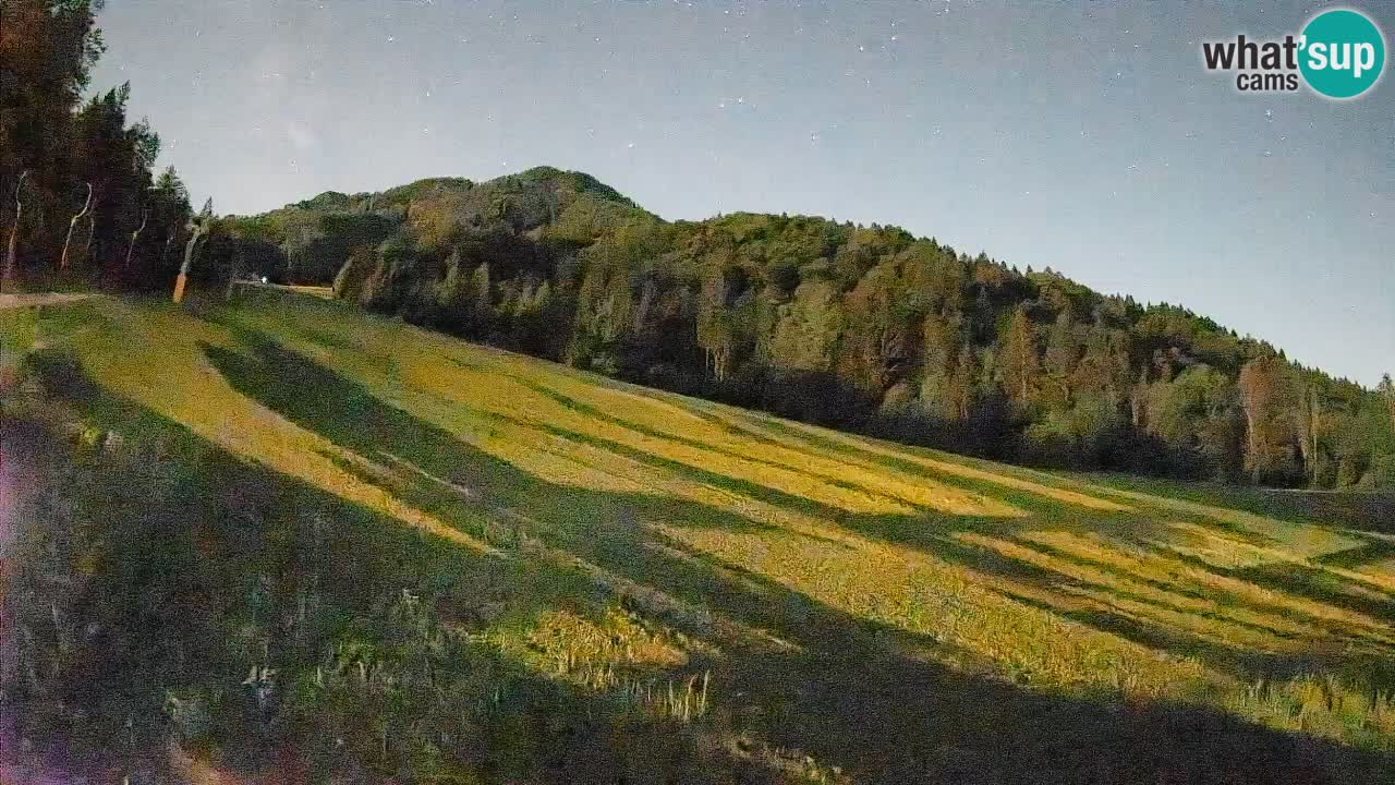Ski Kranjska Gora | Brsnina