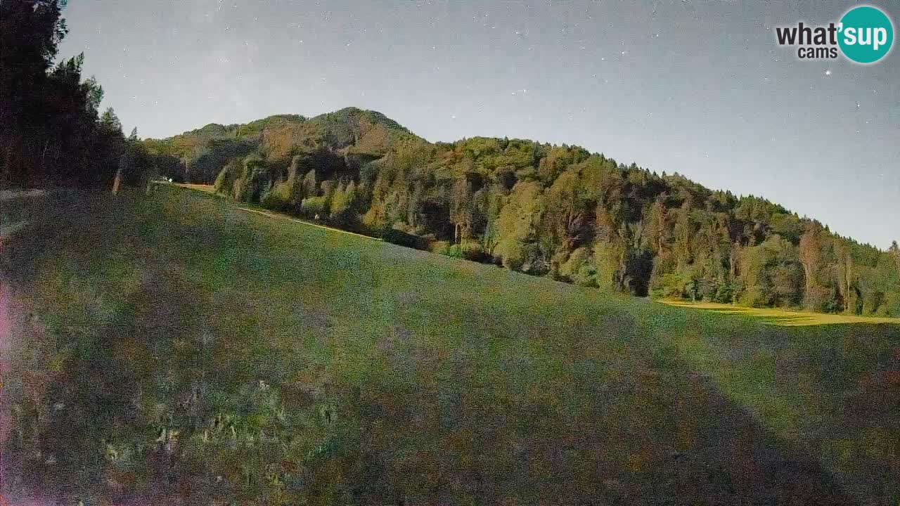 Comprensorio sciistico Kranjska Gora | Brsnina