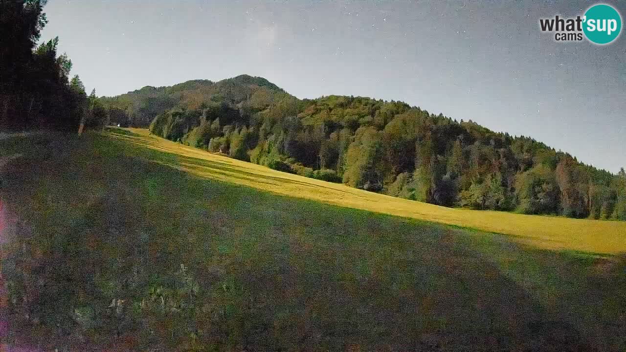 Comprensorio sciistico Kranjska Gora | Brsnina