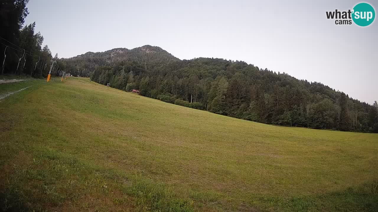 Ski Kranjska Gora | Brsnina