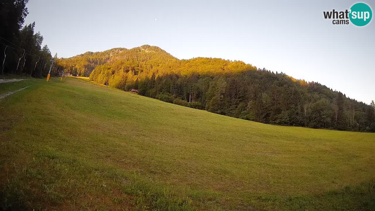 Ski Kranjska Gora | Brsnina