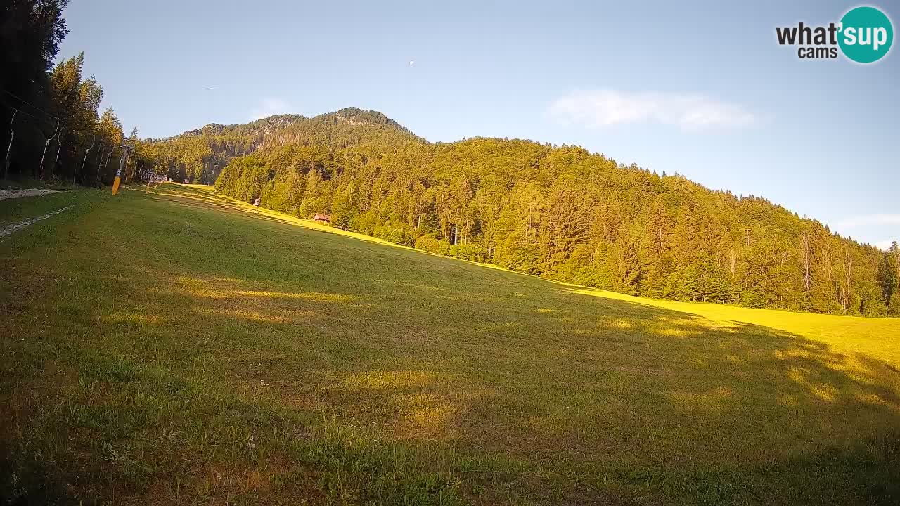 RTC Kranjska Gora | Brsnina