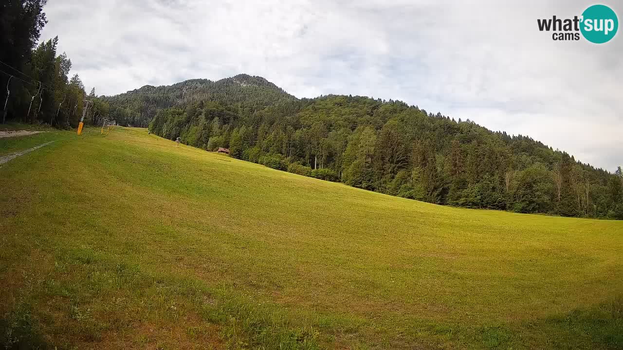 Ski Kranjska Gora | Brsnina