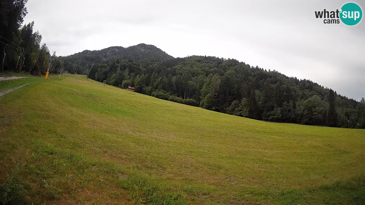 Kranjska Gora Station de ski | Brsnina