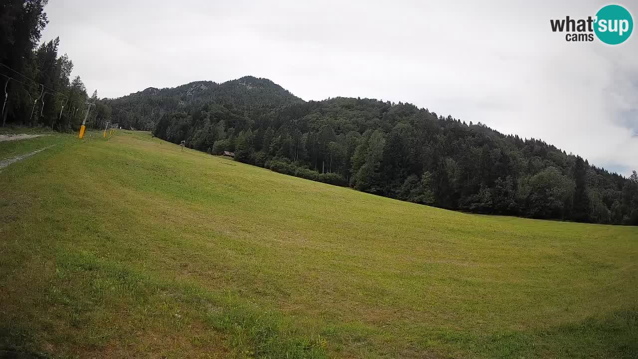 Kranjska Gora Station de ski | Brsnina