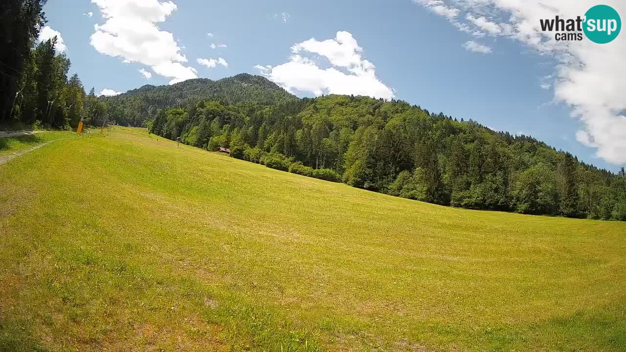 Ski Kranjska Gora | Brsnina