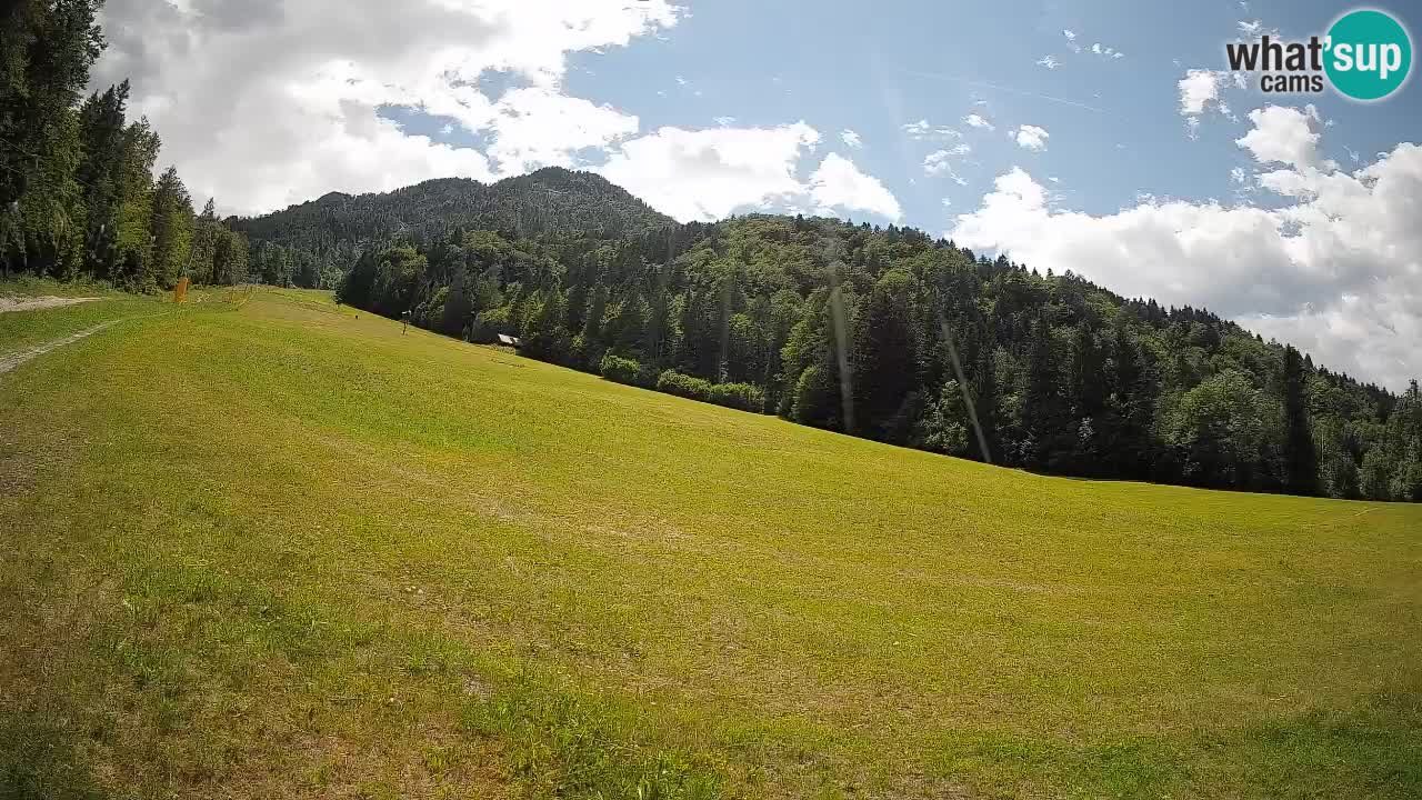 Ski Kranjska Gora | Brsnina