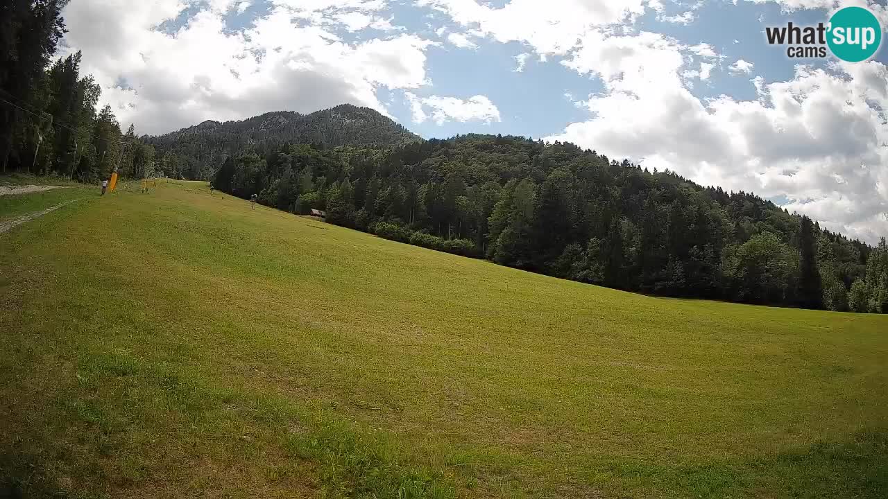 Esquí Kranjska Gora | Brsnina