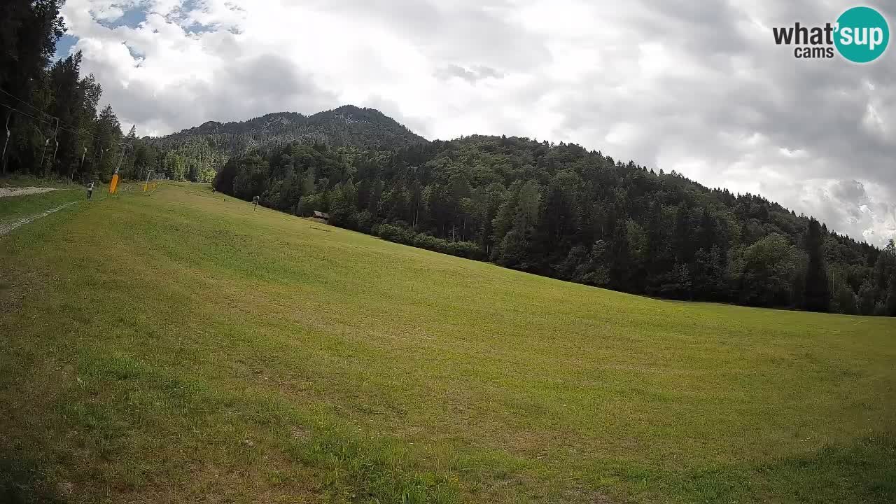 RTC Kranjska Gora | Brsnina