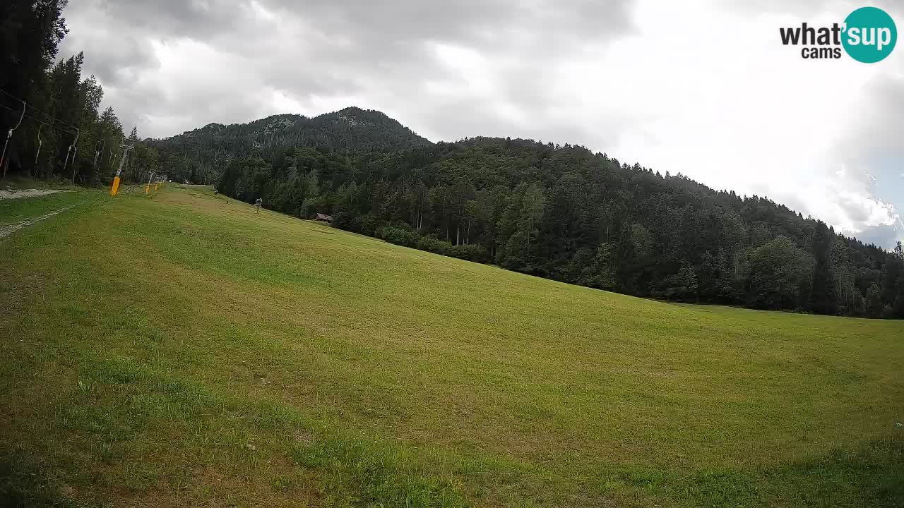 Esquí Kranjska Gora | Brsnina