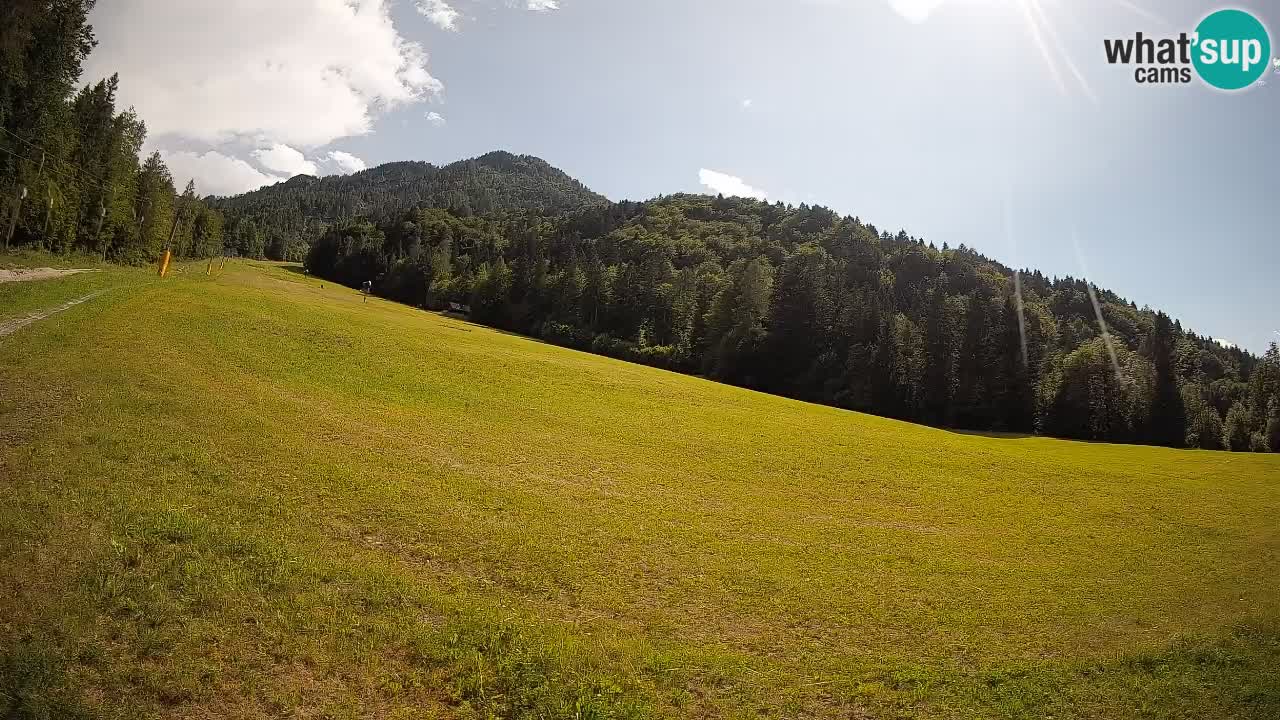Kranjska Gora Station de ski | Brsnina