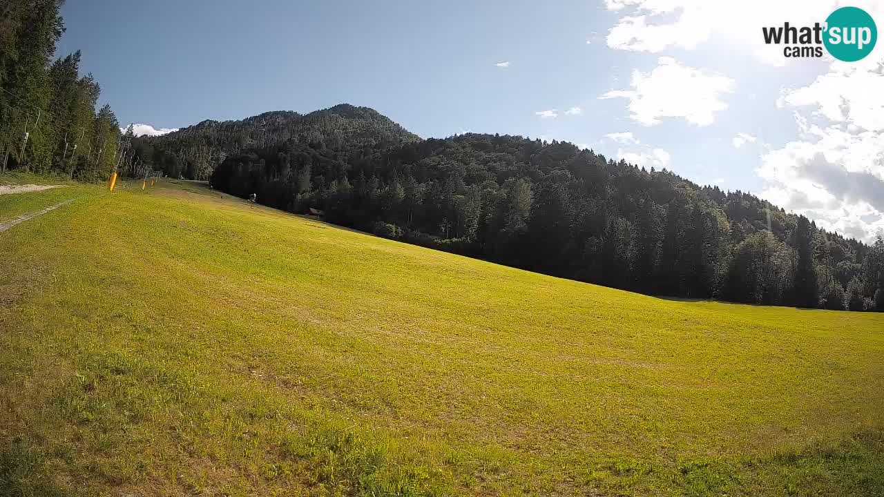 Kranjska Gora Station de ski | Brsnina