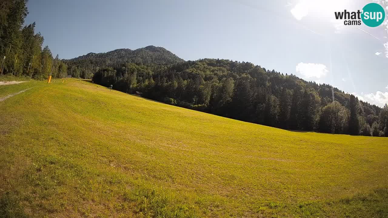 Comprensorio sciistico Kranjska Gora | Brsnina