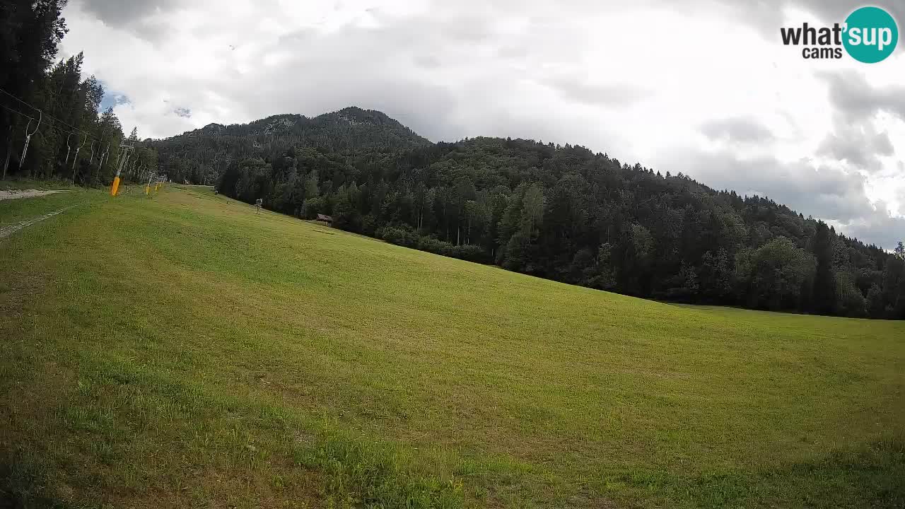 Esquí Kranjska Gora | Brsnina
