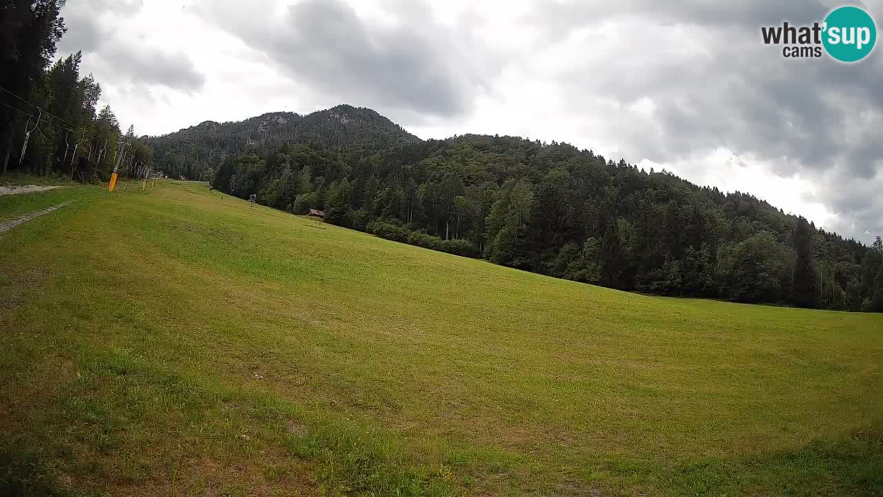 RTC Kranjska Gora | Brsnina