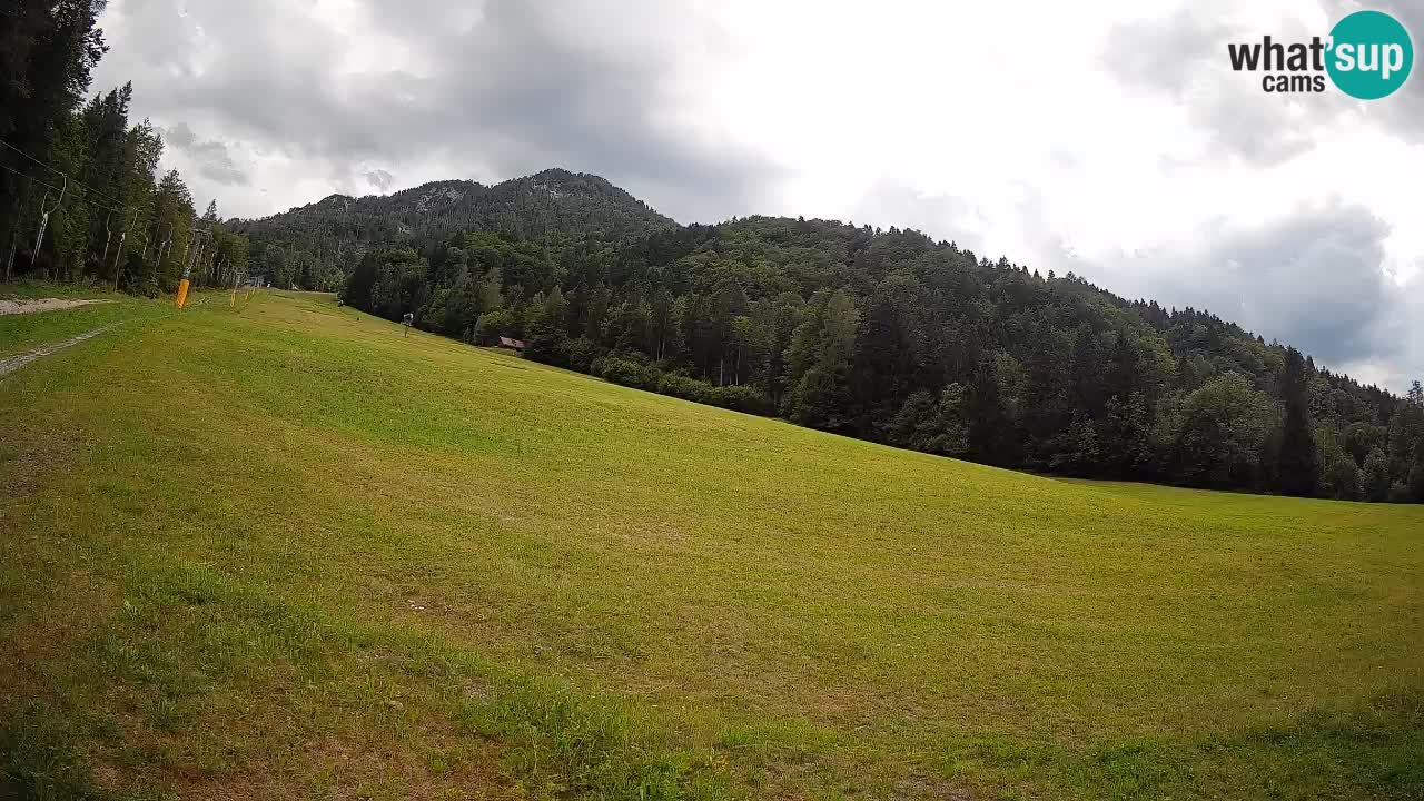 Comprensorio sciistico Kranjska Gora | Brsnina