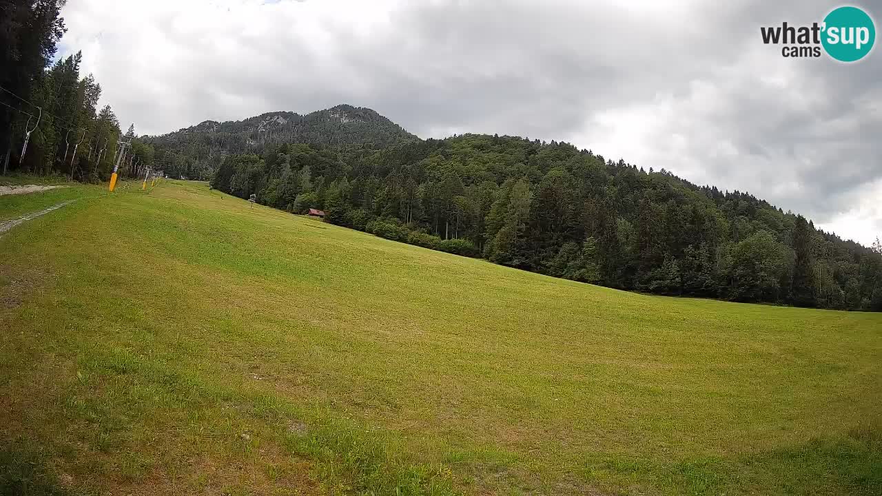 Kranjska Gora Station de ski | Brsnina