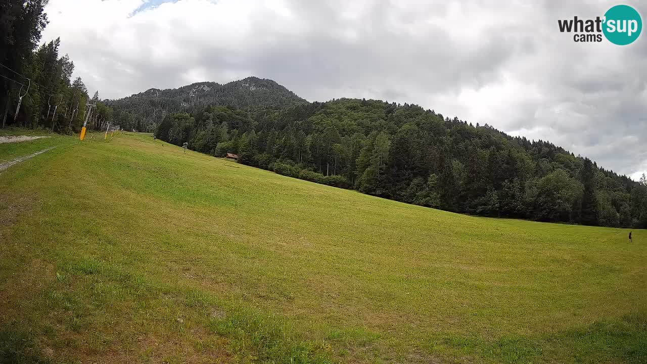 Kranjska Gora SKIJANJE | Brsnina