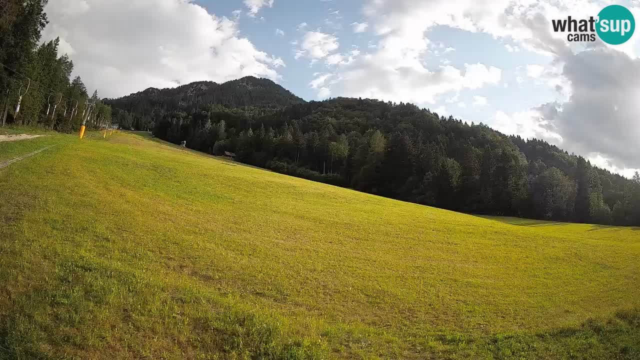 Esquí Kranjska Gora | Brsnina